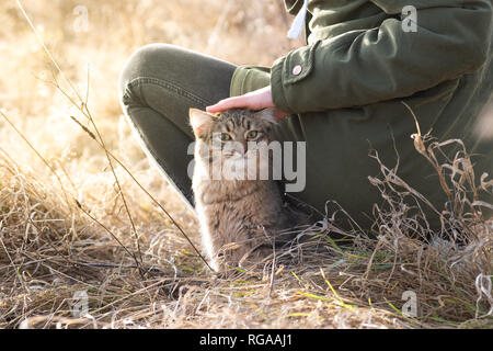 Voller Körper portrait Outdoor gemischte Rasse Katze grau braun Portrait in der Nähe von Mädchen Stockfoto