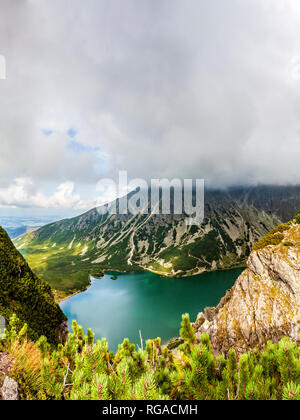 Blick von Krabbe zu Czarny Staw Gasienicowy in Tatra, Polen, Europa Stockfoto