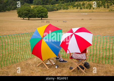 Ein paar genießen die Schafe hund Versuche unter bunten Sonnenschirmen in der Nähe von Hambleden, Buckinghamshire, Teil der Henley zeigen. Stockfoto