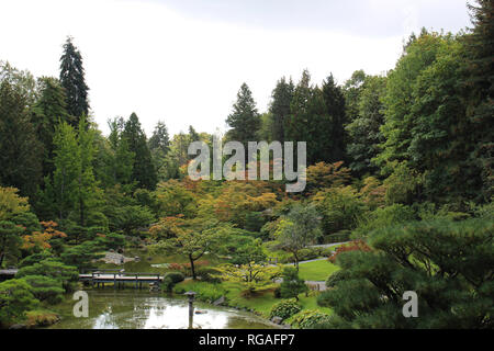 Ein japanischer Garten mit Bäumen, ein großer Teich und Wanderwege in Seattle, Washington, USA Stockfoto