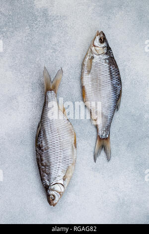 Getrocknete Fische gesalzen auf grauem Beton Hintergrund. Traditionelle russische Vorspeise. Selektiver Fokus Stockfoto