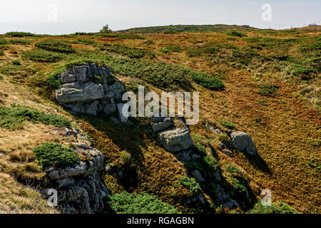 Babin zub (Zahn) Der Gramdmather ist die schönsten Gipfel des Stara Planina (Balkan). Die eindrucksvolle und großen markanten Felsen Stockfoto