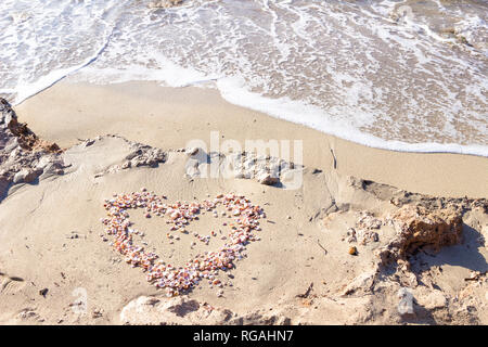 Herzen von Muscheln am Strand gebildet Stockfoto