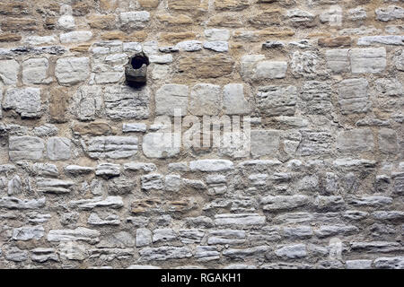 Mittelalterliche Muschelkalk Wand mit Wasserspeier Stockfoto