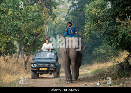 Safari Jeep vorbei Mahouts reiten Elefanten im Rajaji Nationalpark, Uttarakhand, Inda Stockfoto