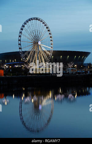 Das Rad von Liverpool bei Keel Wharf in Liverpool, England. Das Riesenrad steht neben der M&S-Bank Arena (ehemals der Echo Arena in Liverpool). Stockfoto