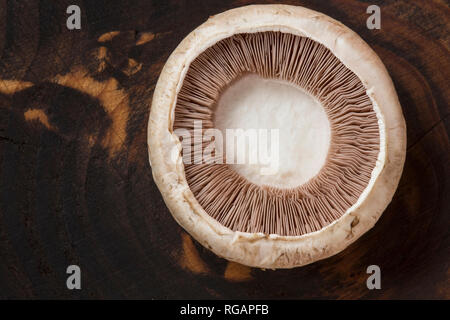 Frische Champignon auf hölzernen Hintergrund Stockfoto