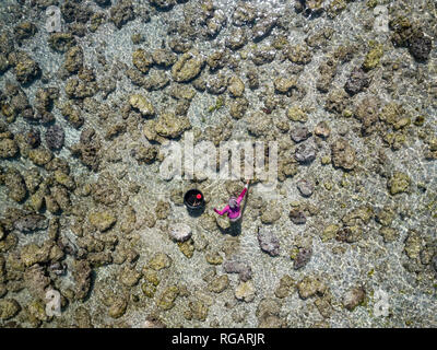 Indonesien, Lombok, Frau auf der Suche nach Fisch und Meeresfrüchte Stockfoto