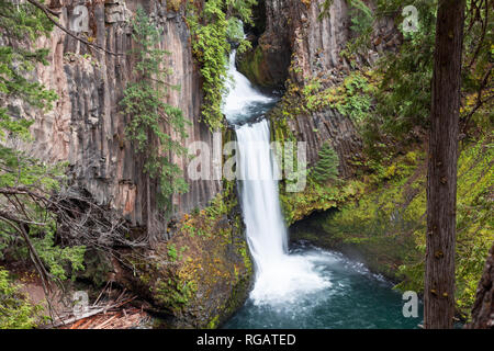 Der Norden Umpqua River fließt über drei Stufen von Basaltsäulen rockto in Oregon erstellen Toketee fällt. Stockfoto