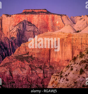 Dawn, West Temple, Zion National Park, Utah Stockfoto