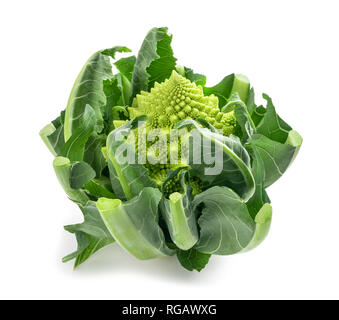 Römische Blumenkohl isoliert auf weißem Hintergrund Stockfoto