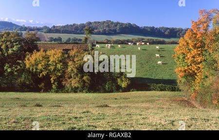 Südwesten Frankreich. In den Ausläufern der französischen Pyrenäen, in der Nähe von Lourdes, im frühen Herbst. Stockfoto