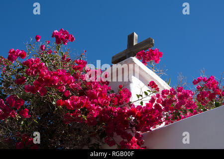 Ziemlich rosa Bougainvillea Klettern über eine Wand auf einer Kirche In spanien Stockfoto