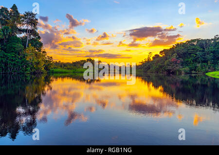 Sonnenuntergang im Regenwald des Amazonas, Yasuni Nationalpark. Der Regenwald bestehen aus den Ländern Ecuador, Peru, Bolivien, Brasilien, Kolumbien, Venezuela... Stockfoto