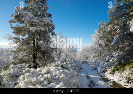 Weg durch die verschneite Landschaft, in den Hügeln des nördlichen England. Winterlandschaft oberhalb der Longdendale Tal, Glossop, Derbyshire. Stockfoto