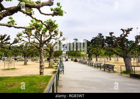 Mai 6, 2018 San Francisco/CA/USA - Landschaft im Golden Gate Park; Kalifornische Akademie der Wissenschaften und Sutro Tower sichtbar im Hintergrund Stockfoto