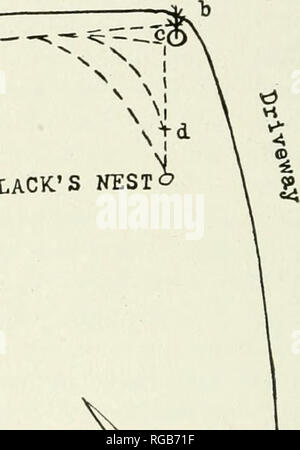 . Bulletin der Wisconsin Natural History Society. Natural History - Wisconsin. Der schwarze NEST ich. E N - (-S W. Bitte beachten Sie, dass diese Bilder sind von der gescannten Seite Bilder, die digital für die Lesbarkeit verbessert haben mögen - Färbung und Aussehen dieser Abbildungen können nicht perfekt dem Original ähneln. extrahiert. Wisconsin Natural History Society. Milwaukee, der Gesellschaft Stockfoto