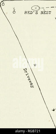 . Bulletin der Wisconsin Natural History Society. Natural History - Wisconsin. 126 Bulletin Wisconsin Natural History Society. [Vol. 8, Nr. 3. vom Gras Büschel 1,2 m. (4') entfernt, ca. 200 Soldaten an der Klumpen angekommen, weitere 200 waren Streaming über die 1,2 m. (4') von Rasen, und5-600 mehr (geschätzt), einschließlich einer großen Zahl von callows, die nicht auf den ersten Angriff wurden Straße O-, RED NEST. Der schwarze NEST ich. Bitte beachten Sie, dass diese Bilder aus gescannten Seite Bilder, die digital für die Lesbarkeit verbessert haben mögen - Färbung und Erscheinungsbild der extrahiert werden Stockfoto