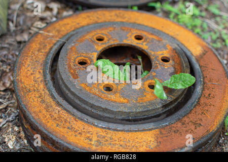 Ein rostiges Metall Bremsscheibe am Boden mit Unkraut wächst. Stockfoto