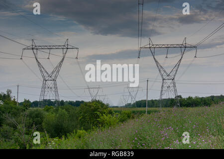 Power Line tower Perspektive in einem großen offenen grünes Feld mit lila Blumen an einem bewölkten Tag während des Sonnenuntergangs. Stockfoto