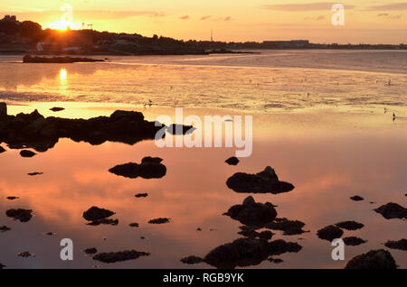 Dublin Bay bei Ebbe, Irland, ruhigen und friedlichen, Sonne im Hintergrund, Felsen, die in Seetang. Stockfoto