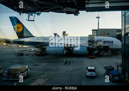 FRANKFURT, Deutschland - Apr 6, 2015: Lufthansa Airbus A380-800 Delhi auf Asphalt geparkt Laden Entladen von Gütern während des Aufenthalts auf der Internationalen Frankfurter Flughafen Stockfoto