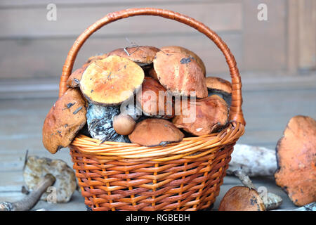 Stillleben mit Getreide der viele essbare Pilze in Braun Weidenkorb auf hölzernen Haus Veranda Schritte vorderen Outdoor Vorderansicht horizontal Stockfoto