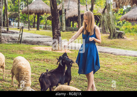 Attraktive junge Frau feeding Baby Ziegen Stockfoto