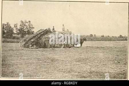 . Bulletin der US-Landwirtschaft. Landwirtschaft Landwirtschaft - - United States. 8 BULLETIN 641, US-Landwirtschaftsministerium. Laden. Schleppen, und Heu in der Scheune. Die Crew die meisten in der Regel in der New York Gegend verwendet wird einer von vier Männern und zwei Pferde. Am 52 New York Es wurden 30 Betriebe mit vier Mann Besatzung, 13 drei Mann Besatzung, 7 2-Mann Crew, 1 8 Mann Besatzung und 1 sechs Mann Besatzung gefunden. Die kleine Crew nicht in der Regel ein Pferd oder Team im Stall zu halten, das Team für hauhng auch für Hub verwendet. (Siehe Abbn. 1 und 2) In den Fällen von etwa der Hälfte der vier - Mann cre Stockfoto