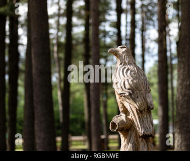 Rawdon, Quebec, Kanada, 18. Juni 2018: die hölzerne Skulptur eines Weißkopfseeadler im Parc des Cascades Stockfoto