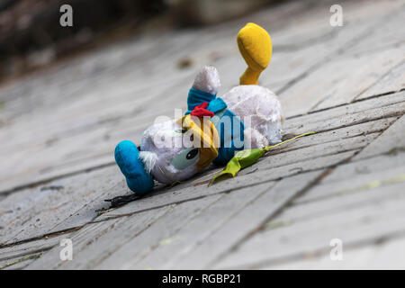 Rawdon, Quebec, Kanada, 18. Juni 2018: Dagobert Duck Plüsch Spielzeug, ohne ein Bein liegen Stockfoto