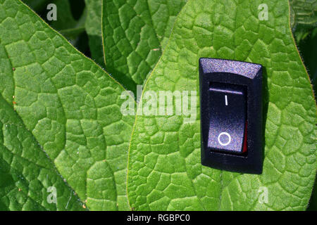 Grünes Blatt mit eingefügt. Konzeptionelle Bild von Naturschutz, Klimawandel, globale Erwärmung, Cleantech und Green Business. Stockfoto