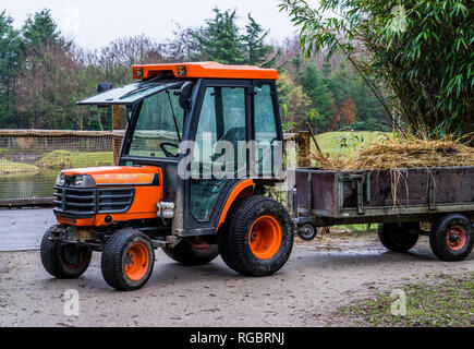 Landwirtschaftliche Geräte, orange Traktor mit Anhänger, die mit Heu gefüllt ist, Landmaschinen. Stockfoto