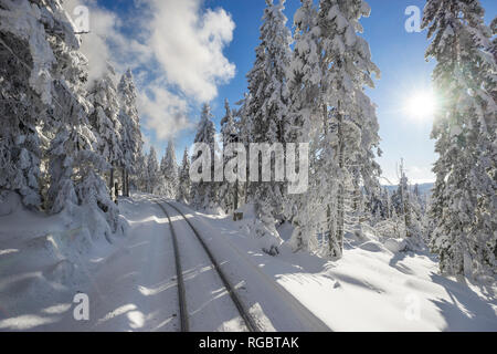 Deutschland, Sachsen-Anhalt, Harz, Nationalpark, Brocken, Schienen der Harzer Schmalspurbahn im Winter gegen die Sonne Stockfoto