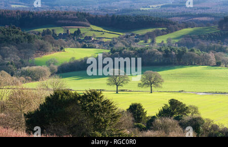 Die Aussicht von Newlands Ecke und schaut in Albury im Surrey Hills Stockfoto