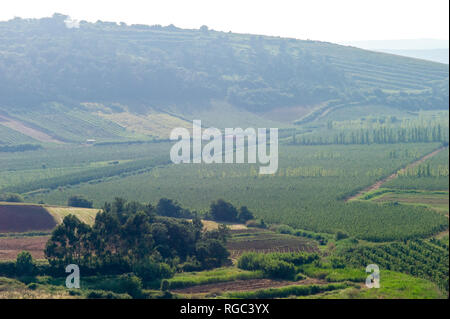 Ländliche Umgebung von Obidos, Portugal Stockfoto