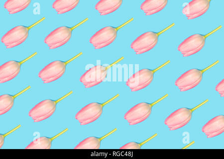 Pink Tulip Muster auf blauem Hintergrund Stockfoto