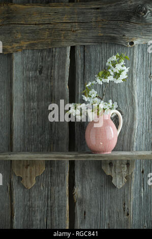 Zweig Kirschblüte jar vor der rustikalen hölzernen Wand Stockfoto