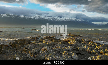 Ein Blick auf die Kaikoura Seaward reicht von Kaikoura in Neuseeland Stockfoto