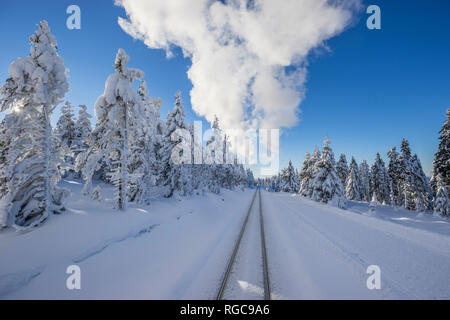 Deutschland, Sachsen-Anhalt, Harz, Nationalpark, Brocken, Schienen der Harzer Schmalspurbahn im Winter, Wolke aus Dampf Stockfoto