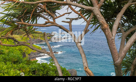 Die Küste von Maui in der Nähe von Hana durch die Zweige von einem Pandanus Baum gesehen Stockfoto