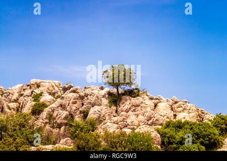 Spanien, Provinz Málaga, Sierra del Torcal mountain range, El Torcal de Antequera Nature Reserve, Kalksteinformationen Stockfoto