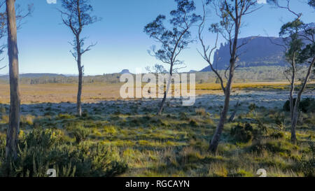 Am frühen Morgen Blick auf Mt oakleigh und Barn bluff aus New Pelion Hut auf der Overland Track in Cradle Mountain National Park, Australien Stockfoto