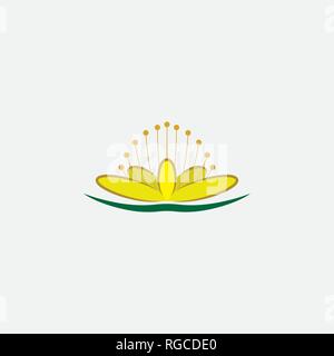 St John's Wort Blume Pflanze Icon Design Stock Vektor