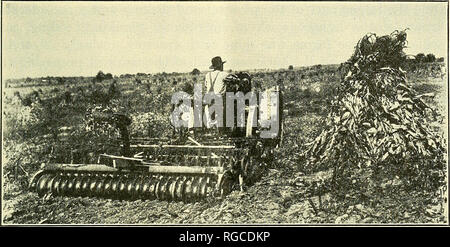 . Bulletin der US-Landwirtschaft. Landwirtschaft Die Landwirtschaft. Kosten und Nutzung der Macht auf Bauernhöfen. 21 Praxis wird auf eine oder mehrere dieser Anbaugeräten hinter der Platte. In allen, 207 Männer zumindest ein Teil dieser Arbeit mit Traktoren. Hundert und sechzig - vier von ihnen diese verwendeten Arbeitsgeräte hinter Ihre disk Eggen, und 43 verwendet sie alleine. (Siehe Abb. 6.) Die Anzahl der Männer auf die verschiedenen mittelgroßer Betriebe, die diese verwendeten Arbeitsgeräte und die Art der Energie beschäftigt sind in Tabelle 18 angegeben.. Abb. 6.-Traktor vorbereiten Mais Boden für Winterweizen mit einem Doppelten und Packer. Tabelle 18.- Kin Stockfoto