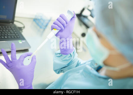 Vorbereitung der Prüfung Proben der Stämme im Labor für die Herstellung von Drogen Stockfoto