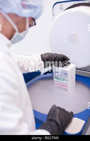 Wissenschaftler im Labor Lagerung von biologischem Material in cryo Store Stockfoto