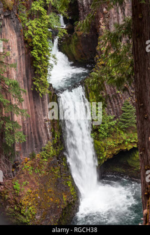 Der Norden Umpqua River fließt über drei Stufen von Basaltsäulen rockto in Oregon erstellen Toketee fällt. Stockfoto