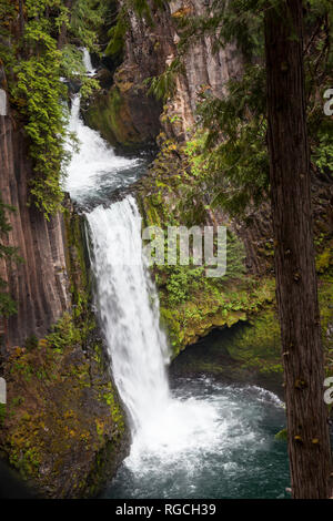 Der Norden Umpqua River fließt über drei Stufen von Basaltsäulen rockto in Oregon erstellen Toketee fällt. Stockfoto