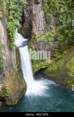 Der Norden Umpqua River in einem Seidigen fließen sie über drei Stufen von Basaltsäulen rockto erstellen Toketee fällt in Oregon. Stockfoto